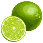 lime Meaning, Definition & Pronunciation | EngDict