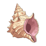 Conch Def conch Meaning, Definition & Pronunciation | EngDict
